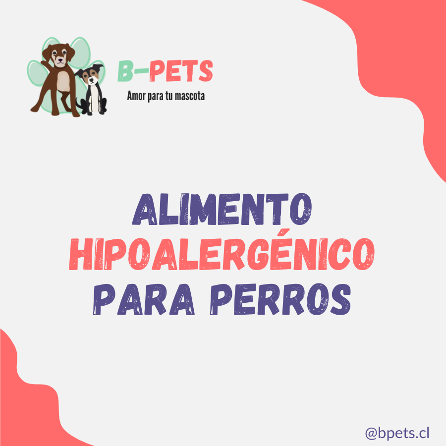 Alimento hipoalergenico para perros