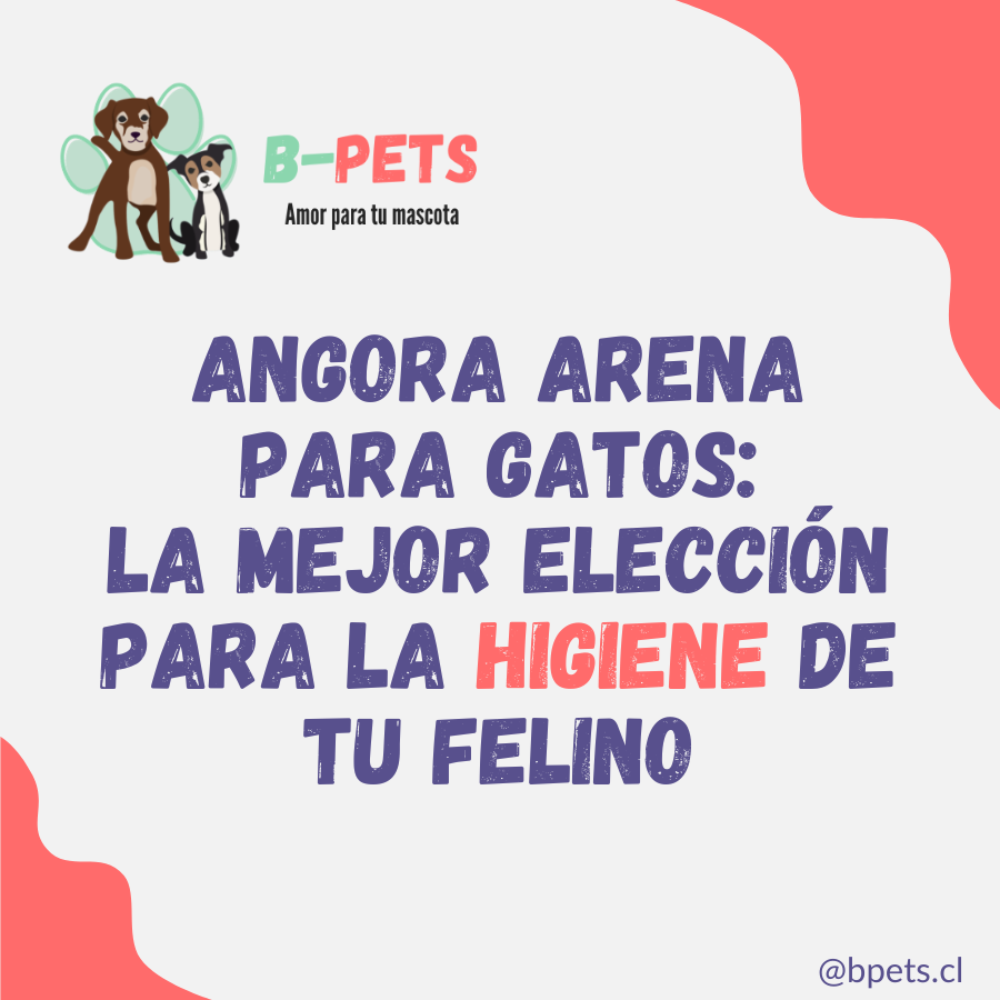 Angora arena para gatos: descubre la mejor eleccion para la higiene de tu felino