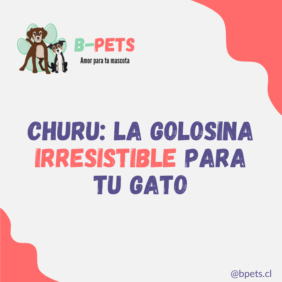 Churu: la golosina irresistible para tu gato