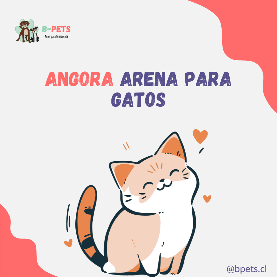 Angora arena para gatos: la mejor opción para el cuidado de tu gato