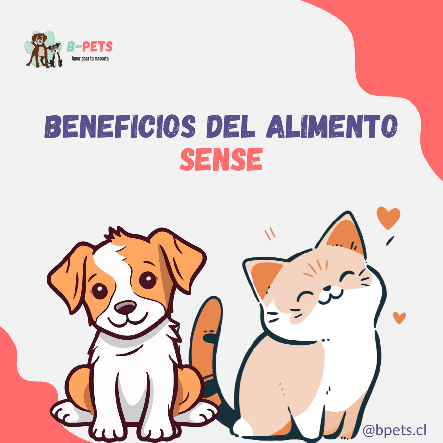 Descubre los beneficios del alimento Sense para gatos y perros