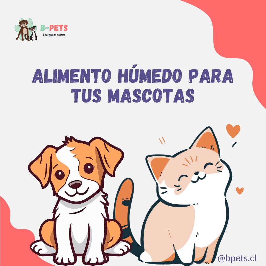 Beneficios de los alimentos humedos para tus mascotas