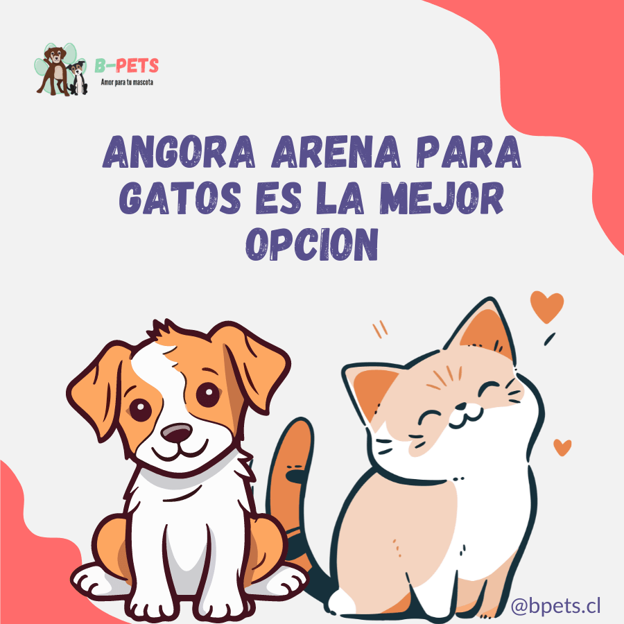 Angora arena para gatos: La mejor opcion para el bienestar de tu felino