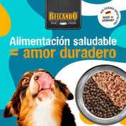 Compra Belcando Adult Cerdo Ibérico y Arroz 4kg para perros adultos. Fórmula premium con cerdo ibérico y arroz, ideal para perros con digestión sensible. ¡Envío a todo Chile!