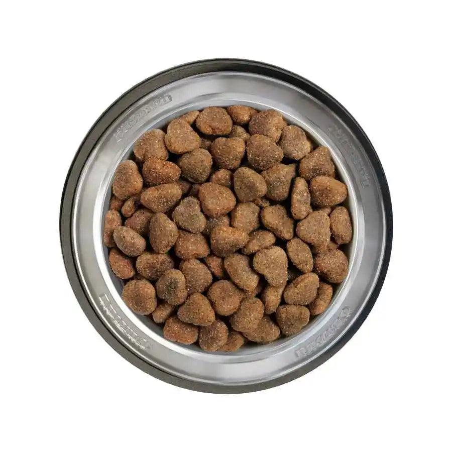 Dale a tu perro BELCANDO Adult Grain Free Poultry 12.5kg 🐔🌱, una comida libre de cereales con amaranto energizante y kril nutritivo, perfecta para mantener la salud y la vitalidad de tu perro adulto con actividad normal.