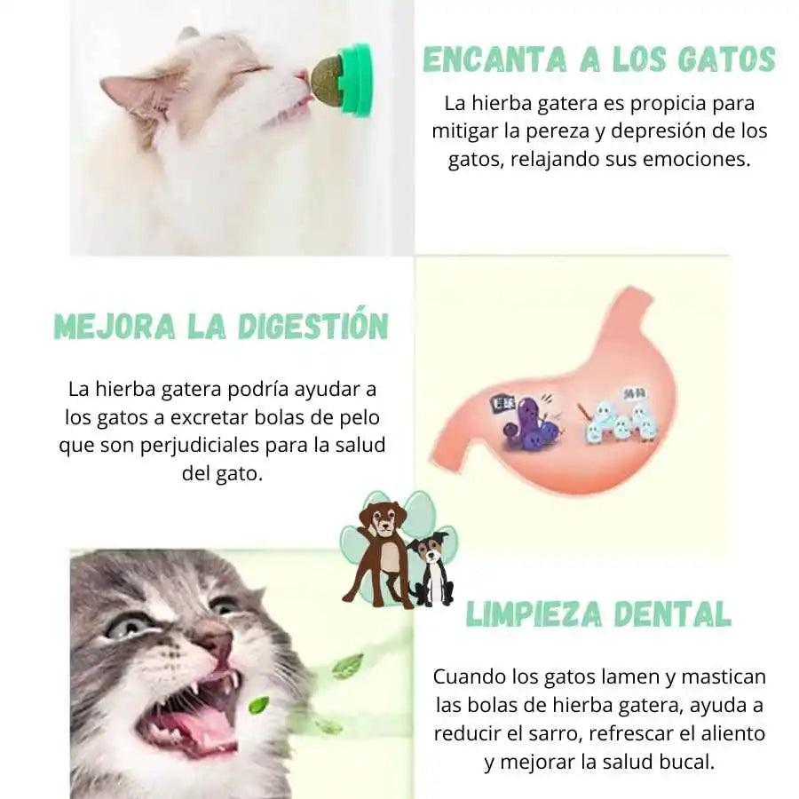 Bola de Hierba Gatera Giratoria: juguete interactivo de catnip natural para gatos, favorece la higiene bucal y reduce el estrés. ¡Diversión garantizada para tu felino! 🐱💚