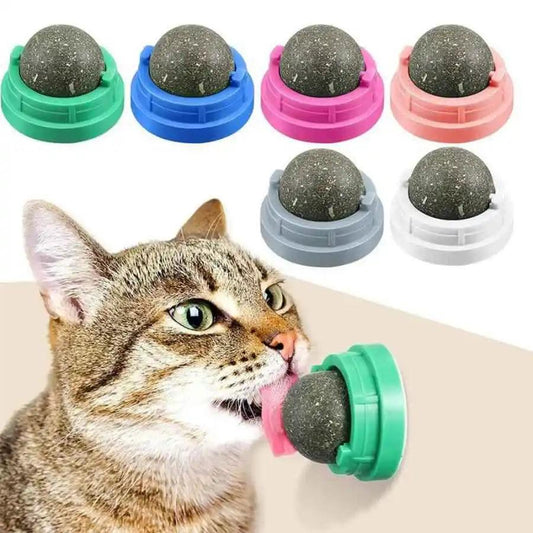 Bola de Hierba Gatera Giratoria: juguete interactivo de catnip natural para gatos, favorece la higiene bucal y reduce el estrés. ¡Diversión garantizada para tu felino! 🐱💚