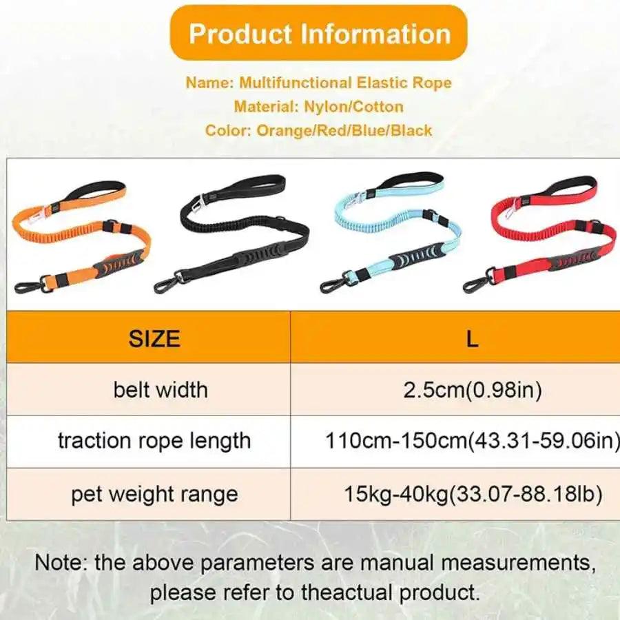 Correa de Cinturón de Seguridad para Perros Wonder Dog: correa elástica reflectante de alta resistencia con hebilla de seguridad y manijas dobles acolchadas. Ideal para llevar perros medianos y grandes en el auto. 🐾✨