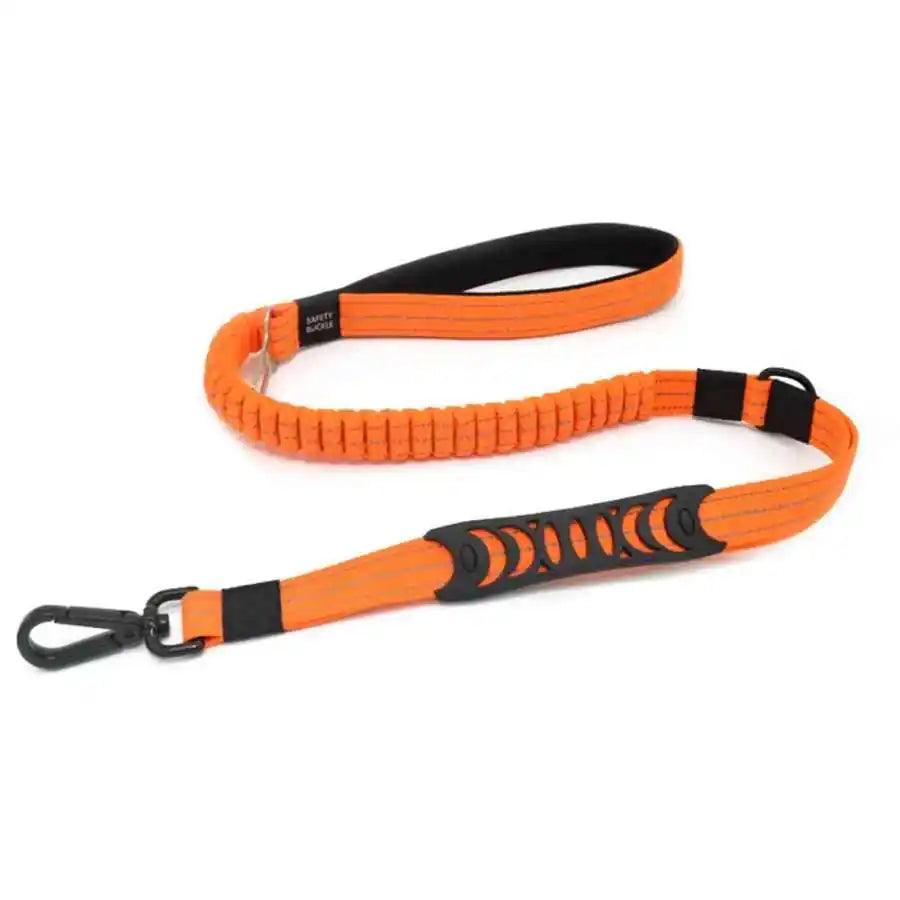 Correa de Cinturón de Seguridad para Perros Wonder Dog: correa elástica reflectante de alta resistencia con hebilla de seguridad y manijas dobles acolchadas. Ideal para llevar perros medianos y grandes en el auto. 🐾✨