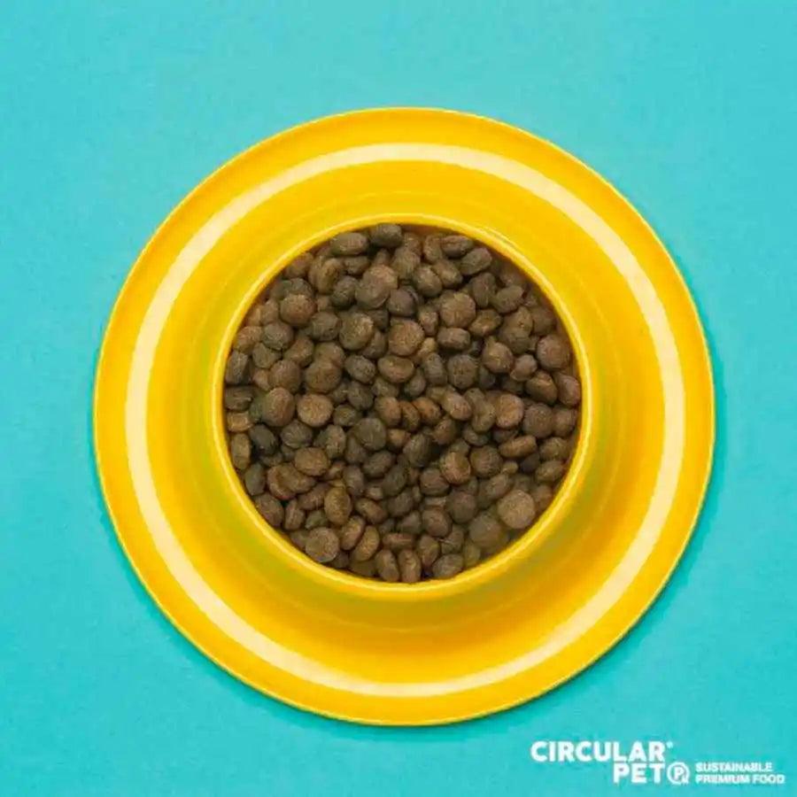 Circular Pet: Alimento para perros con proteína de insectos. 🐕 Sostenible, hipoalergénico y de alta digestibilidad. Ideal para perros con sensibilidades alimentarias.