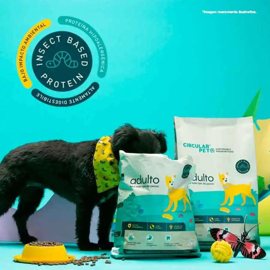 Circular Pet: Alimento para perros con proteína de insectos. 🐕 Sostenible, hipoalergénico y de alta digestibilidad. Ideal para perros con sensibilidades alimentarias.