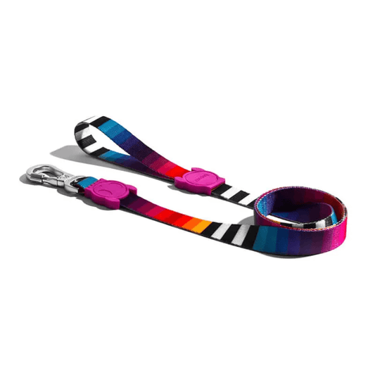 Correa ZeeDog Prisma Leash: Robusta y segura para paseos diarios. 🐾 Con THE SUPER HOOK giratorio y material de poliéster teteron duradero. Diseño elegante y cómodo.