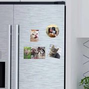 Imanes Personalizados con Foto de Mascota 🐶😺 | Decora tu Hogar con Amor Peludo - Transforma tu refrigerador en una galería de momentos felices con nuestros imanes personalizados.