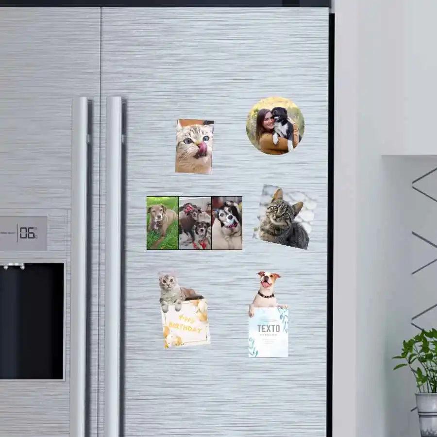 Imanes Personalizados con Foto de Mascota 🐶😺 | Decora tu Hogar con Amor Peludo - Transforma tu refrigerador en una galería de momentos felices con nuestros imanes personalizados.