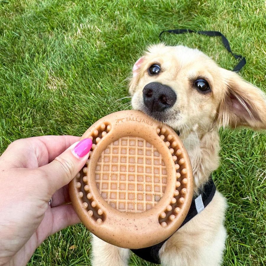 Juguete Waffle Masticable Sabor Tocino 🐾, duradero y divertido con aroma a tocino, ideal para masticar y jugar con snacks. Apto para perros activos.