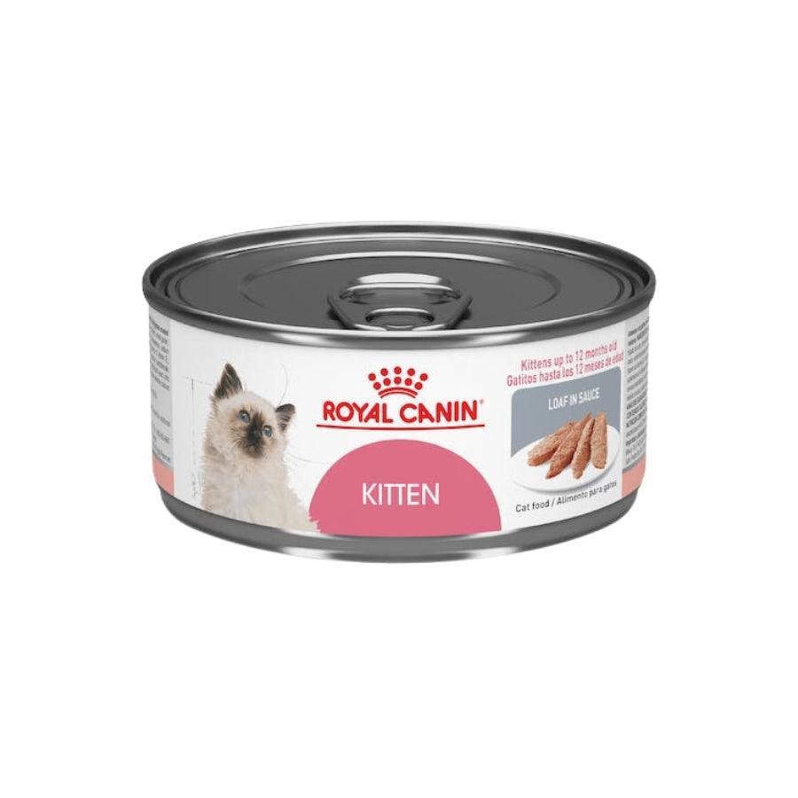 Lata Royal Canin Kitten: Alimento húmedo para gatitos de 4 a 12 meses y gatas gestantes o lactantes. Fácil de masticar, refuerza defensas naturales, y preferencia instintiva. 🐱🍲🍼