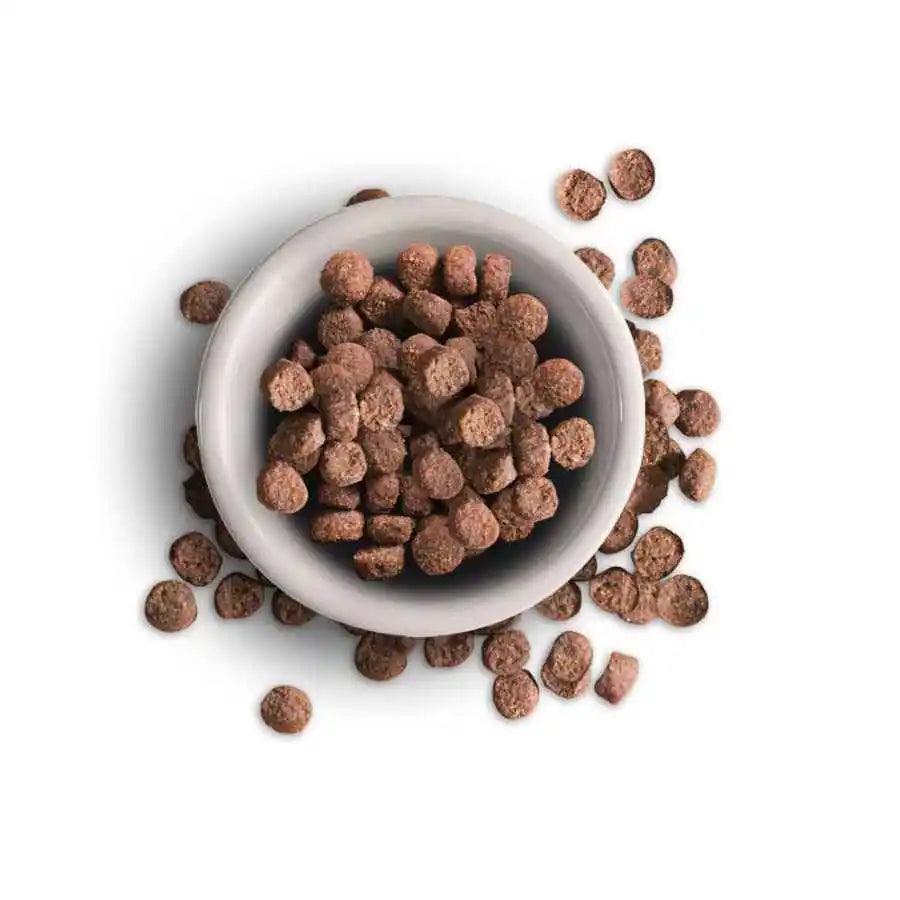 Leonardo Adulto Light 7.5kg 🐱🍃, ideal para gatos con sobrepeso o esterilizados. Bajo en calorías, rico en proteínas, con krill y semillas de chía para salud y forma física.