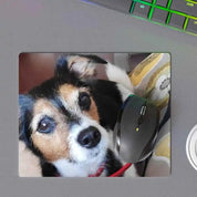 Mousepad Personalizado con Foto de Mascota ❤️: Crea un espacio de trabajo único con un mousepad que muestra la imagen de tu amigo fiel, un accesorio práctico y emocional para tu oficina o estudio. 🐶😺