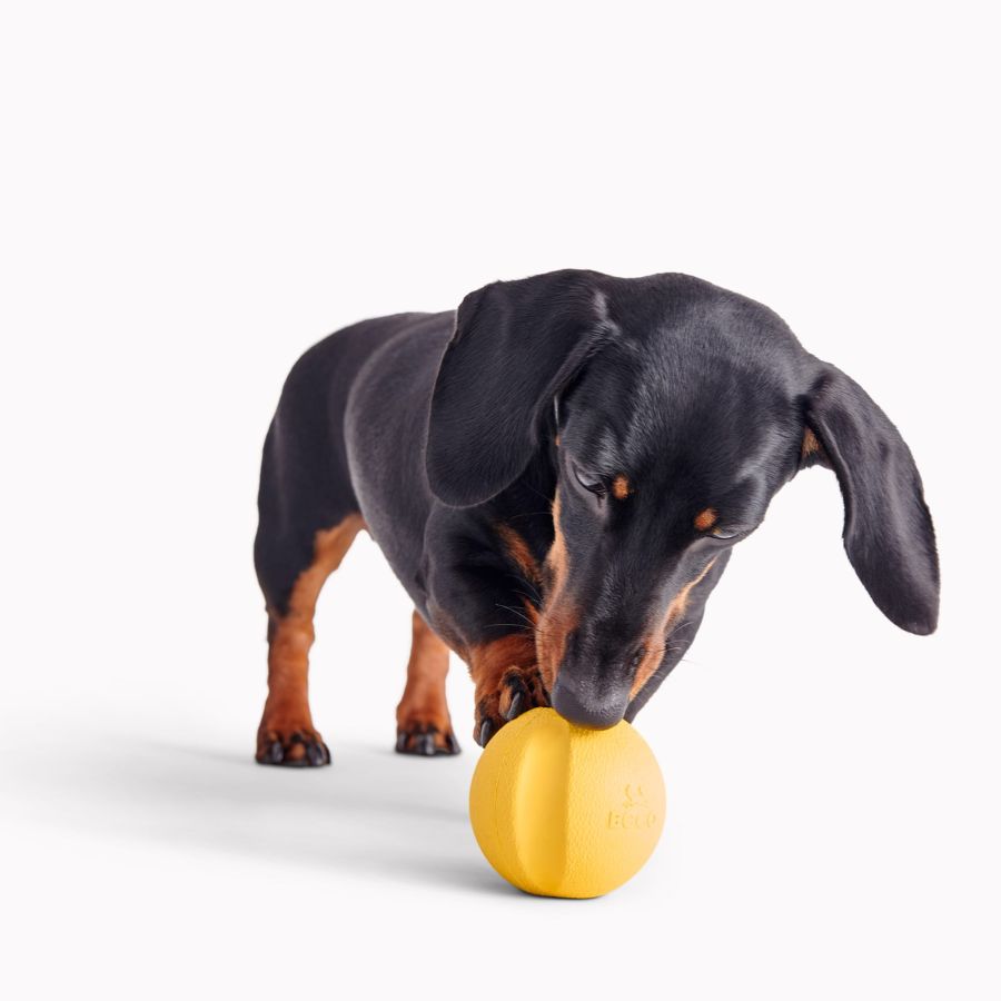 Pelota Fetch Goma Natural Beco 🎾, resistente y con rebote, perfecta para juegos de buscar. Visible, aromática y compatible con lanzadores.