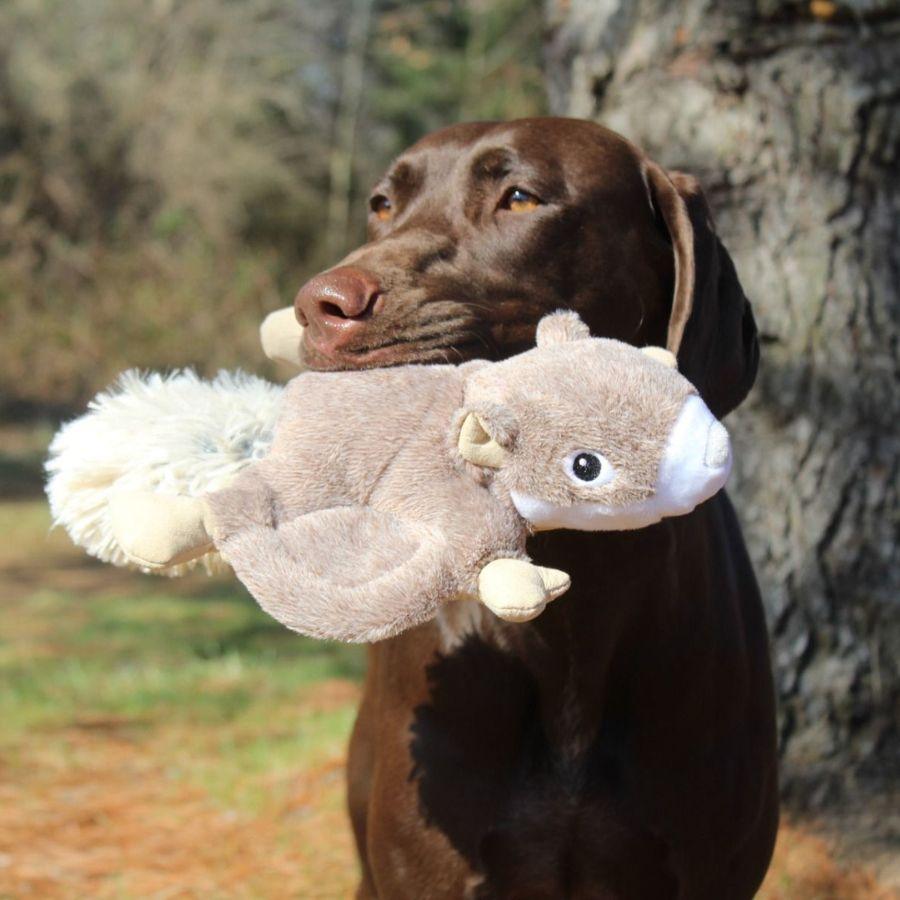 Peluche Ardilla Voladora con Sonido 🐿️, con tela reforzada, squeaker y diseño volador, perfecto para juegos interactivos y duraderos con tu perro.