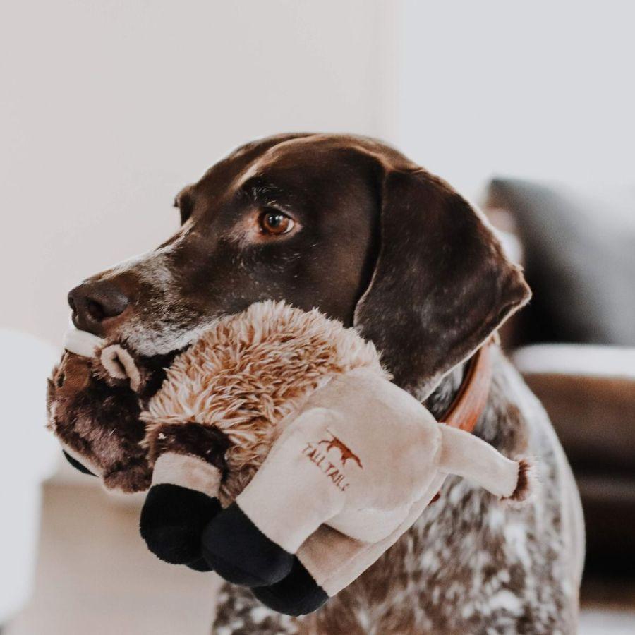 Peluche Búfalo con Sonido de Tall Tails, compañero perfecto para perros que aman abrazar peluches. Seguro, duradero y lavable a máquina. Tamaño: 22 cm.