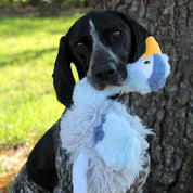 Peluche Garza con Sonido 🦢, duradero y divertido, con crinkle y squeaker para mantener a tu perro estimulado y feliz.