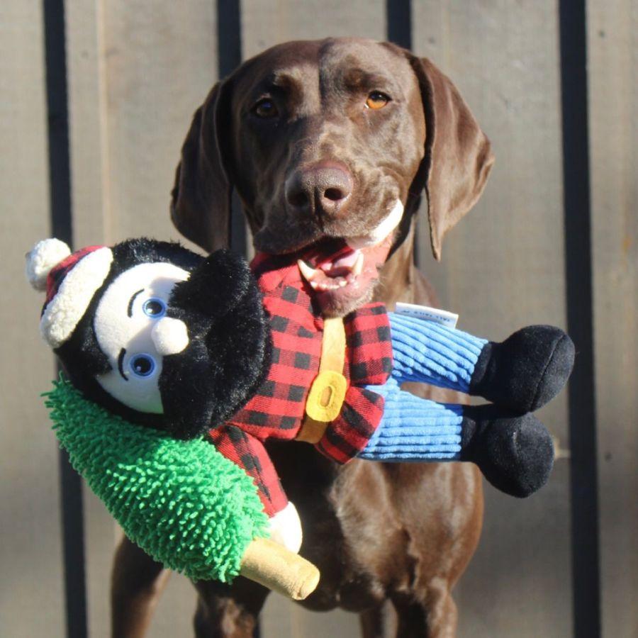 Peluche Leñador Paul Bunyan con Sonido 🐶, doble sonido y estructura duradera, perfecto para mantener a tu perro entretenido y activo.