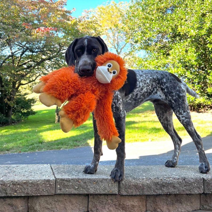 Peluche Orangután con Sonido 🦍, con crinkle y squeaker, hecho de materiales duraderos y reciclados, ideal para juegos y momentos de acurrucarse.