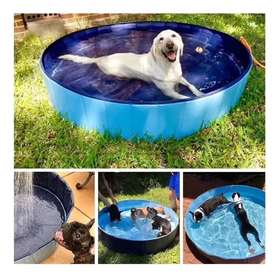 Piscina Ultra Resistente para Perros 🐶 de 160 x 30 cm, hecha de PVC duradero, con drenaje fácil y diseño plegable. ¡Diversión y frescura para tu mascota!