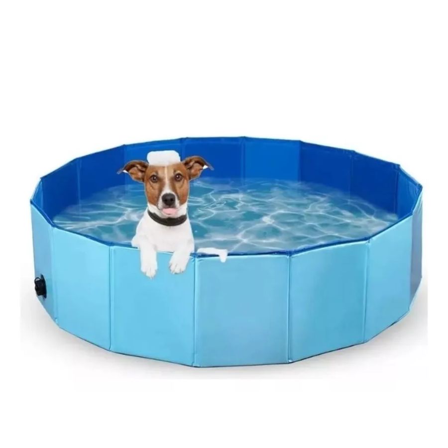 Piscina Ultra Resistente para Perros 🐶 de 160 x 30 cm, hecha de PVC duradero, con drenaje fácil y diseño plegable. ¡Diversión y frescura para tu mascota!