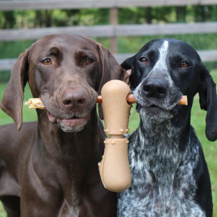 Juguete Porta Stick Masticable Sabor Tocino 🐾, seguro y con aroma a tocino, sujeta snacks y reduce el riesgo de asfixia en perros activos.