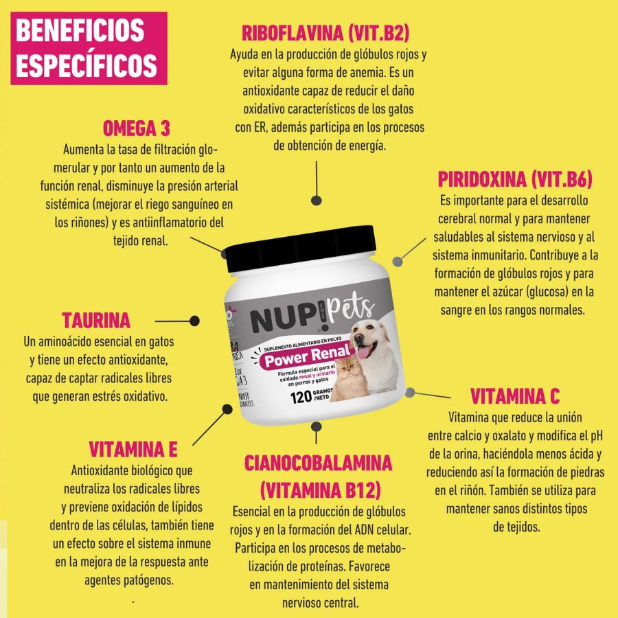 Power Renal Cuidado Renal y Urinario para Mascotas NUP! PETS 120g, con probióticos y vitaminas esenciales 🐶🐱. Protege los riñones y previene cálculos urinarios.