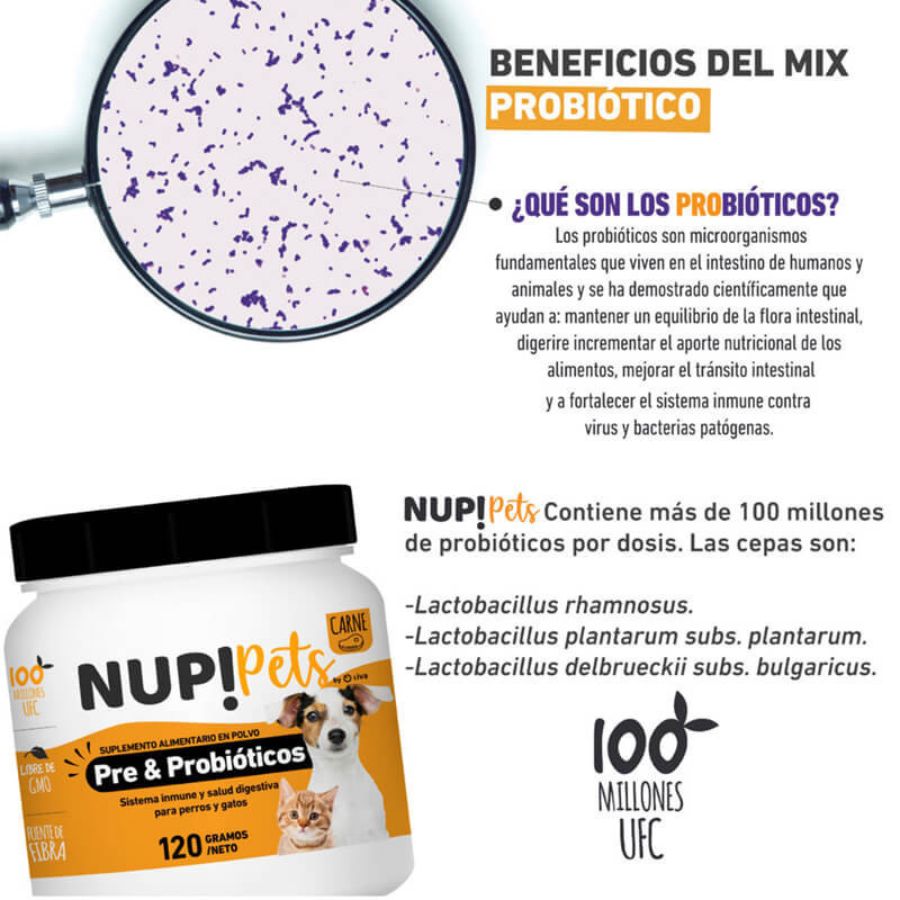 Pre y Probióticos para Mascotas NUP! PETS Sabor Salmón. Mejora la salud digestiva e inmune de tu mascota. Mantiene el pelo brillante y fortalece defensas. 🐶🐱