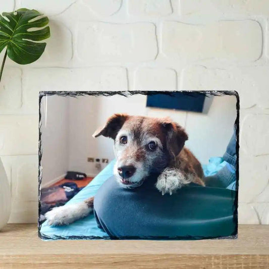 Roca Fotográfica Rectángular Personalizada con Foto de Mascota | Recuerdo Eterno 🐾 - Crea un recuerdo único de tu mascota en roca, perfecto para decorar o regalar.