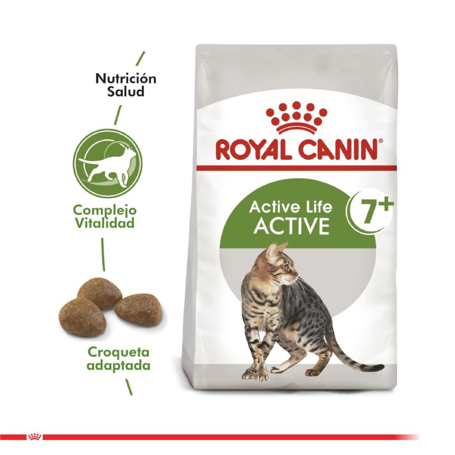 Royal Canin Active 7+: Alimento seco para gatos activos mayores de 7 años. Enriquecido con antioxidantes y polifenoles, apoya la función renal, salud urinaria y articular. 🐱🍲🐾