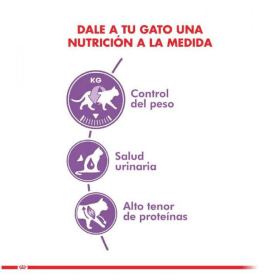 Royal Canin Adulto Castrado Feline 400g: Alimento para gatos esterilizados, controla el peso y apoya la salud urinaria y digestiva. Rico en proteínas, moderado en grasas. 🐱🍲🐾