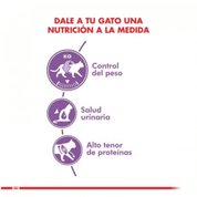 Royal Canin Adulto Castrado Feline 1.5kg: Alimento para gatos esterilizados, controla el peso y apoya la salud urinaria y digestiva. Rico en proteínas, moderado en grasas. 🐱🍲🐾