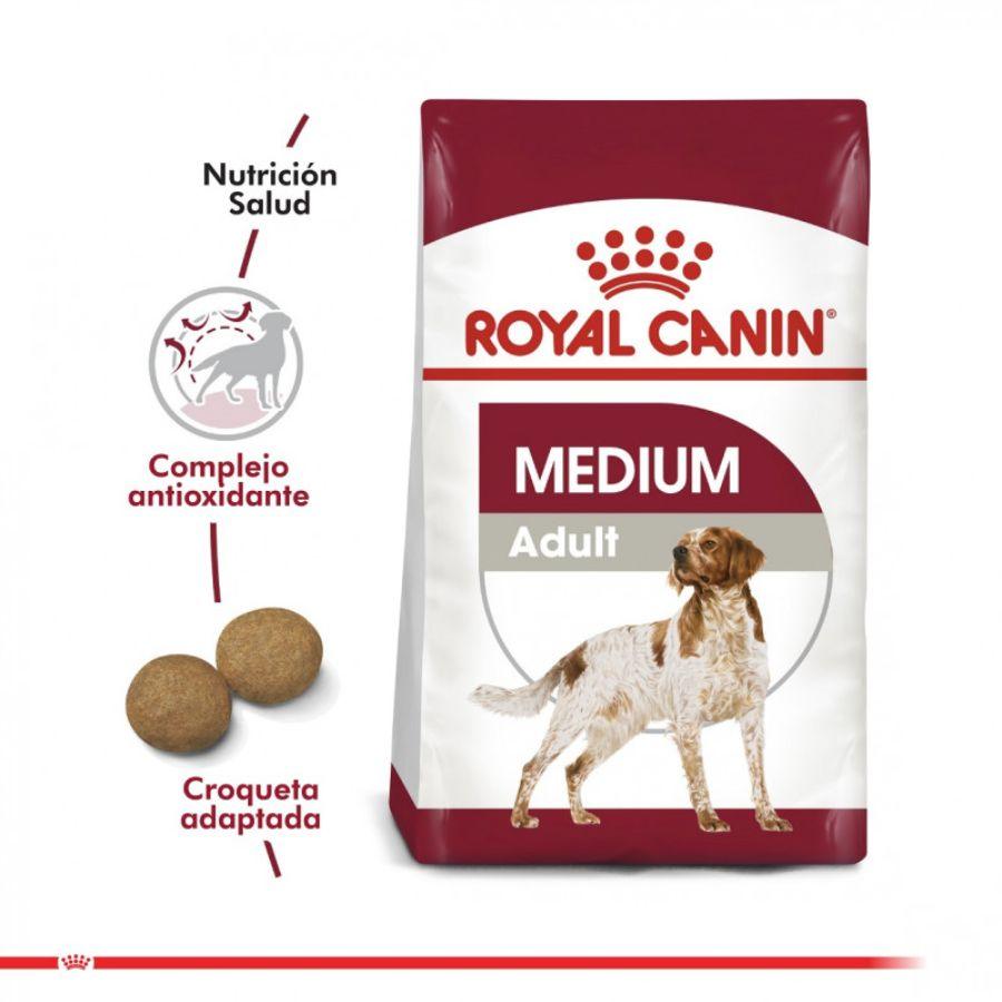 Royal Canin Adulto Medium 15Kg, alimento para perros adultos de razas medianas. Mantiene el peso ideal, refuerza defensas naturales y mejora la salud de la piel. 🐕