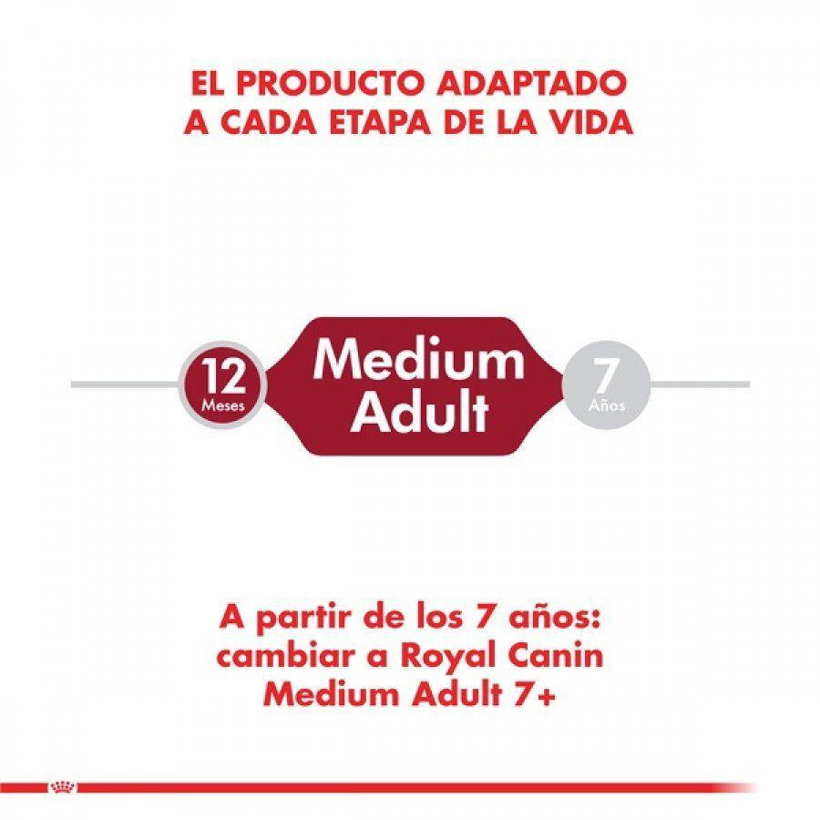 Royal Canin Adulto Medium 2.5Kg, alimento para perros adultos de razas medianas. Mantiene el peso ideal, refuerza defensas naturales y mejora la salud de la piel. 🐕