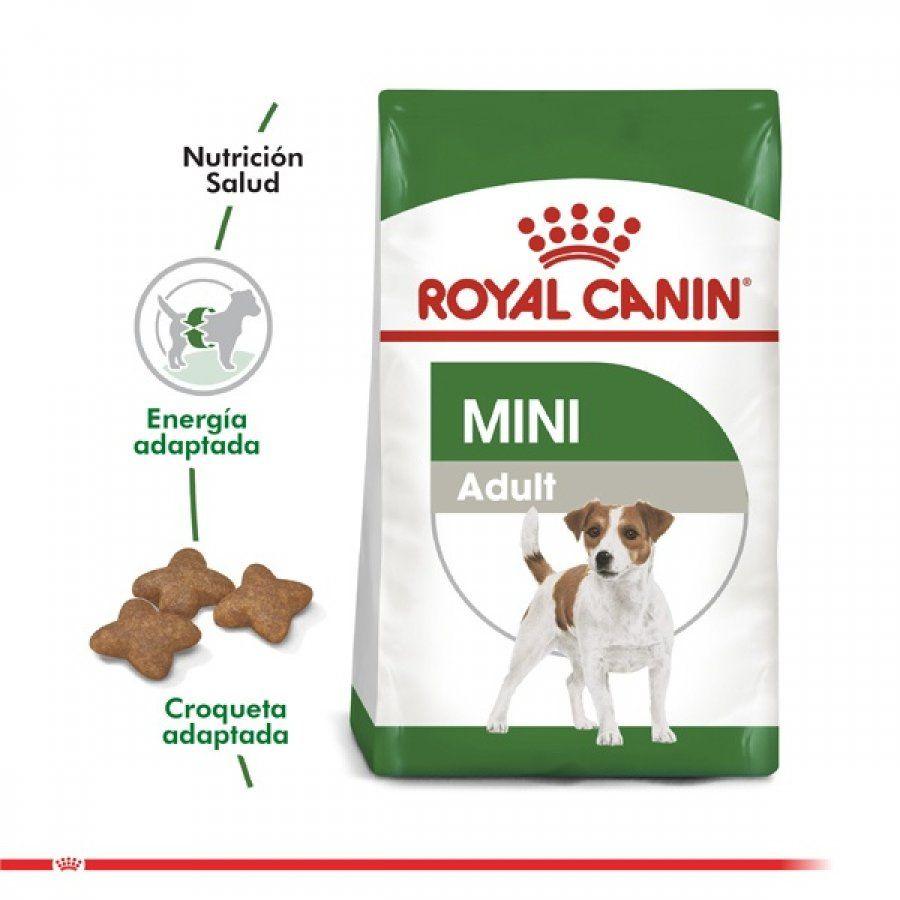 Royal Canin Mini Adult 1Kg: Alimento premium para perros adultos de razas pequeñas. Favorece el mantenimiento del peso, salud del pelaje, dental y digestiva. Alta palatabilidad y nutrientes esenciales. 🐶🌟🐾