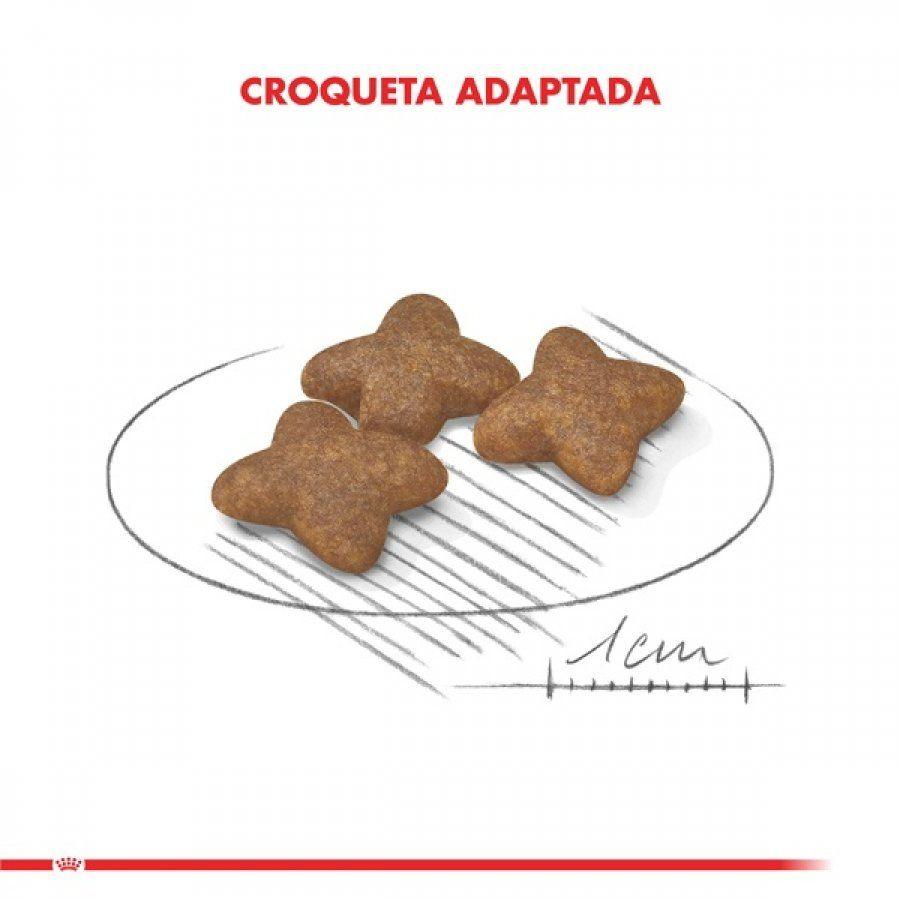 Royal Canin Mini Adult 2.5Kg: Alimento premium para perros adultos de razas pequeñas. Favorece el mantenimiento del peso, salud del pelaje, dental y digestiva. Alta palatabilidad y nutrientes esenciales. 🐶🌟🐾