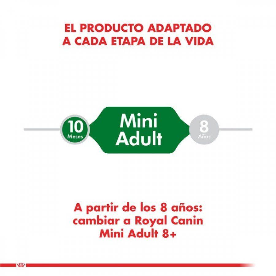 Royal Canin Mini Adult 1Kg: Alimento premium para perros adultos de razas pequeñas. Favorece el mantenimiento del peso, salud del pelaje, dental y digestiva. Alta palatabilidad y nutrientes esenciales. 🐶🌟🐾