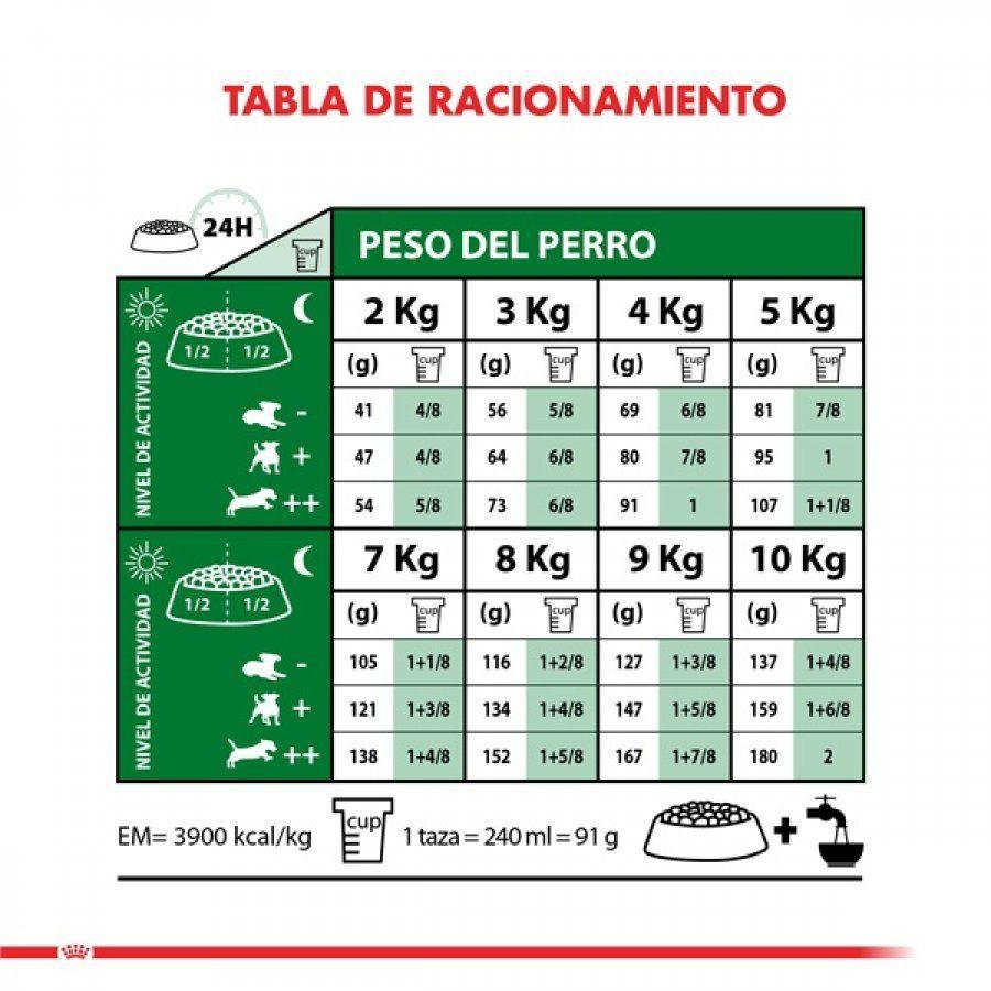 Royal Canin Mini Adult 7.5Kg: Alimento premium para perros adultos de razas pequeñas. Favorece el mantenimiento del peso, salud del pelaje, dental y digestiva. Alta palatabilidad y nutrientes esenciales. 🐶🌟🐾