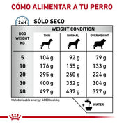 Descubre Royal Canin Anallergenic para perros, la dieta especializada para reducir alergias y promover una piel sana. 🐶🍲 Con oligopéptidos y un complejo antioxidante, es la nutrición ideal para perros con sensibilidades alimentarias.