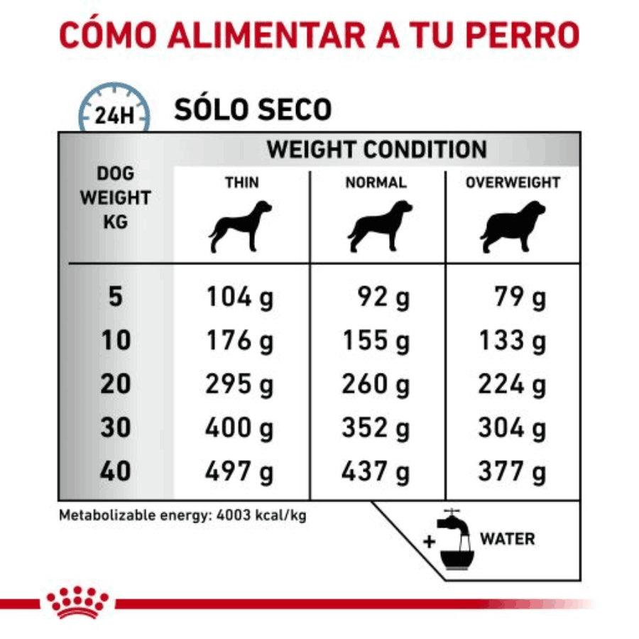 Descubre Royal Canin Anallergenic para perros, la dieta especializada para reducir alergias y promover una piel sana. 🐶🍲 Con oligopéptidos y un complejo antioxidante, es la nutrición ideal para perros con sensibilidades alimentarias.