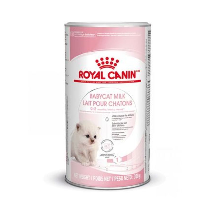 Con Royal Canin Babycat Milk – Leche para Gatitos 300 Gr 🐱🍼, tu gatito disfrutará de un inicio saludable y nutritivo en la vida, replicando la leche materna y enriquecida con DHA para el desarrollo cognitivo y visual.