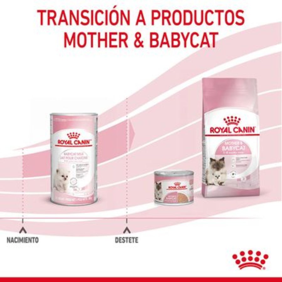 Con Royal Canin Babycat Milk – Leche para Gatitos 300 Gr 🐱🍼, tu gatito disfrutará de un inicio saludable y nutritivo en la vida, replicando la leche materna y enriquecida con DHA para el desarrollo cognitivo y visual.