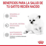 Con Royal Canin Babycat Milk – Leche para Gatitos 300 Gr 🐱🍼, tu gatito disfrutará de un inicio saludable y nutritivo en la vida, replicando la leche materna y enriquecida con DHA para el desarrollo cognitivo y visual.