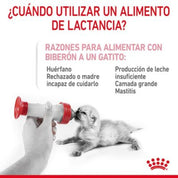 Con Royal Canin Babycat Milk – Leche para Gatitos 300 Gr 🐱🍼, tu gatito disfrutará de un inicio saludable y nutritivo en la vida, replicando la leche materna y enriquecida con DHA para el desarrollo cognitivo y visual.