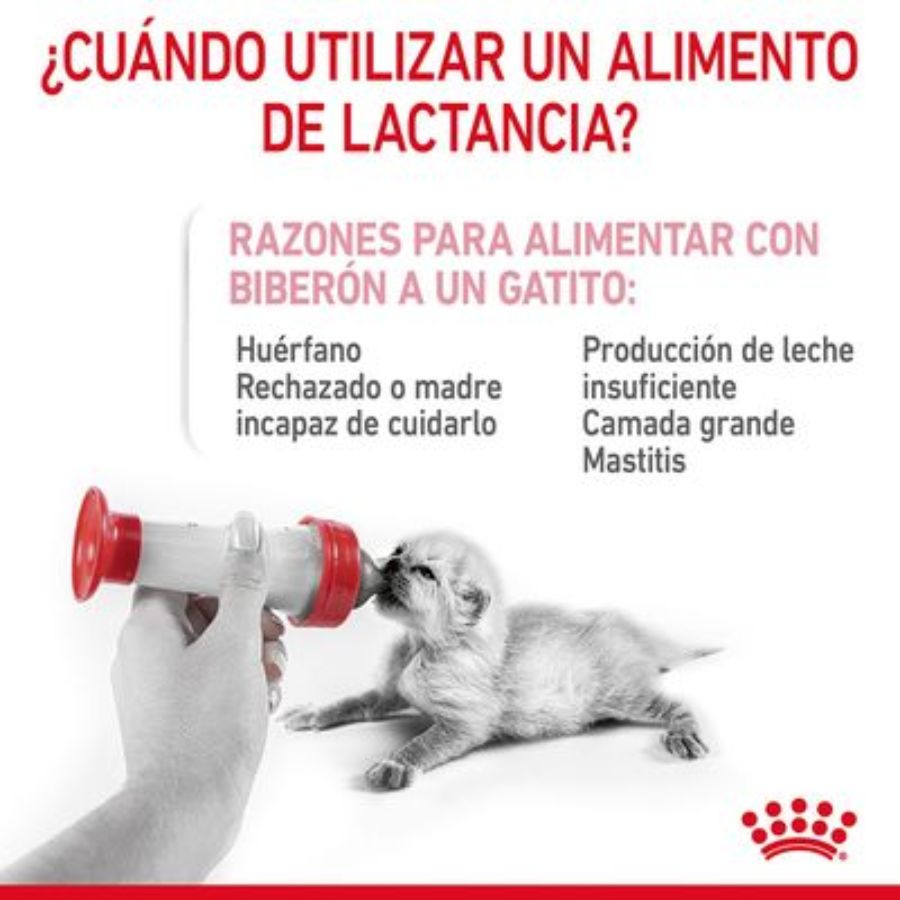 Con Royal Canin Babycat Milk – Leche para Gatitos 300 Gr 🐱🍼, tu gatito disfrutará de un inicio saludable y nutritivo en la vida, replicando la leche materna y enriquecida con DHA para el desarrollo cognitivo y visual.